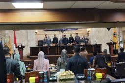 DPRD Kalsel sepakat bentuk Pansus Pengawasan Distribusi BBM  bersubsidi