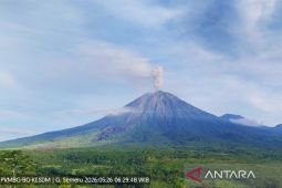 Semeru lima kali erupsi Selasa pagi