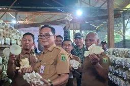 Kalsel kemarin dari budidaya jamur tiram hingga Desa Cinta Statistik