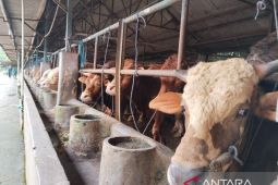 Pemkab Karawang terima puluhan hewan kurban dari pihak swasta