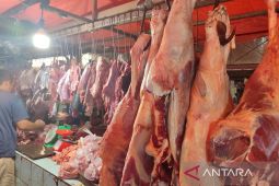 Pemkot Bengkulu wajibkan masyarakat membawa hewan ternak lengkapi SKKH