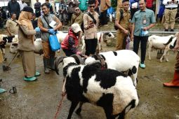 Garut pastikan hewan kurban yang dijual sehat serta layak
