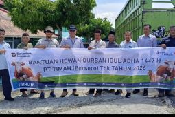 Warga Bangka Barat antusias terima 39 hewan kurban PT Timah
