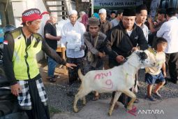 Pemkot Denpasar serahkan 17 ekor hewan kurban untuk Idul Adha 1447 H