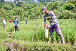 Pasang patok, cara sederhana cegah sengketa tanah