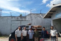 Bangka Selatan salurkan satu sapi kurban ke Lapas di Pangkalpinang