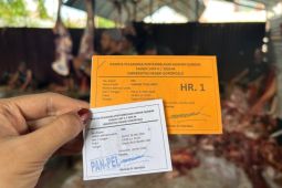 UNG bagikan 1.800 kupon daging kurban kepada masyarakat
