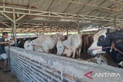 Dinas Pertanian Banten jamin kelayakan hewan kurban