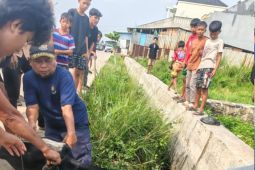 BPBD Kota Tangerang bantu evakuasi dua sapi kurban yang terlepas