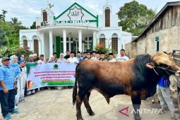 Warga Desa Apur Rejang Lebong terima bantuan hewan kurban dari Presiden