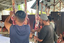 UNG kurbankan 21 sapi hasil iuran dosen dan pegawai