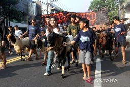 Tradisi pawai hewan kurban di Malang
