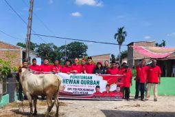 DPC PDI Perjuangan Medan serahkan empat hewan kurban di tiga lokasi