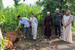 Polres HST sembelih 6 ekor sapi kurban pada Idul Adha 1447 H