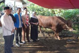 Bupati Garut serahkan sapi bantuan Presiden untuk warga Cigedug