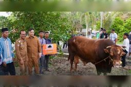 Bupati Lamandau harap kebahagiaan Idul Adha dirasakan lebih luas oleh masyarakat