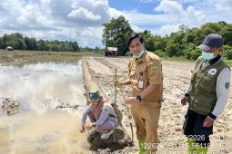 Gapoktan Desa Masingai II ikuti Gerdal Keong Mas