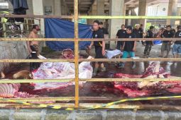 PWNU Jatim sembelih sapi kurban Gubernur Jatim dan Menag