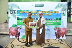 Ponpes Dalpa Kandangan terima bantuan sapi kurban Presiden Prabowo