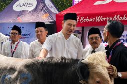 Sebanyak 150 ton daging kurban PTPN IV PalmCo mengalir ke pelosok negeri