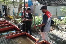 Pertamina Kalimantan wins global CSR awards in Thailand