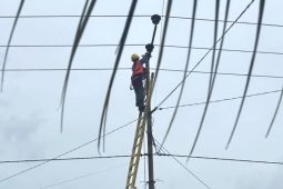 PLN UP3 Ketapang siagakan personel jaga listrik saat Idul Adha