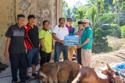 PTBA bantu hewan kurban untuk warga di Sawahlunto