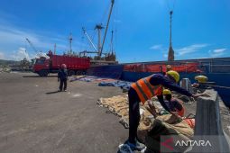 Spektrum - Pelabuhan Cirebon menyulam ulang identitas maritimnya