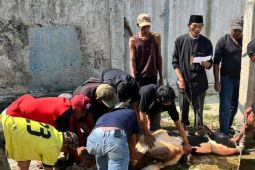 Anggota DPRD Jabar: Pelaksanaan kurban di Kuningan berjalan lancar