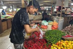 Selera pedas warga Gorontalo penyebab cabai keriting kurang diminati