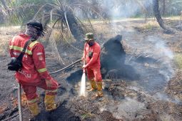 Manggala Agni padamkan karhutla 20 hektare di Siak
