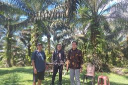 KUR BRI perkuat UMKM produktif di Bengkayang