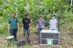 Kembali terungkap pengiriman 203 ekor burung ilegal gunakan bus lintas pulau