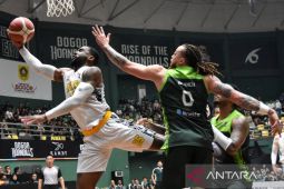 IBL 2026 - Bogor Hornbills tembus semifinal pertama
