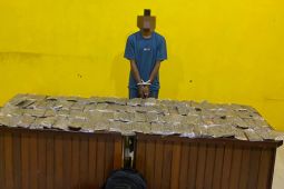 Polresta Sorong gagalkan peredaran ganja 4,8 kg jaringan PNG