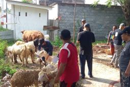 Perputaran ekonomi Idul Adha di Probolinggo capai Rp25,3 miliar
