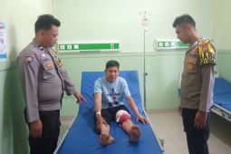 Warga Rejang Lebong diserang beruang madu