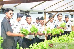 Lapas Lamongan pasok selada hidroponik untuk dukung MBG