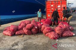 BKHIT Maluku periksa 7,7 ton bawang merah tujuan Weda Malut cegah OPTK