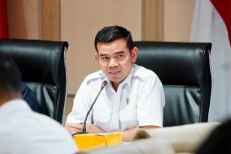 Bapanas sebut harga pangan terkendali usai Idul Adha, intervensi diperkuat