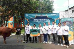Telkomsel salurkan hewan kurban Idul Adha ke berbagai wilayah