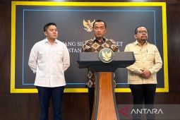 Profil Agustina Arumsari yang ditunjuk Prabowo jadi Wakil Kepala BGN