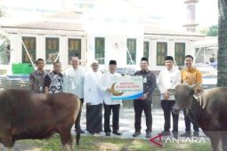 Bank Sumsel Babel distribusikan Bantuan Hewan Kurban ke Masyarakat Sumsel dan Babel