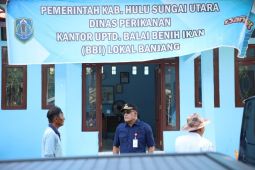 Bupati HSU tinjau UPT BBI Banjang untuk dorong kemandirian benih