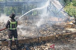 Kebakaran hanguskan 6.300 bibit ayam di Kuningan