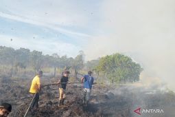 BNPB: Sebaran karhutla masih melanda dua kabupaten di Aceh