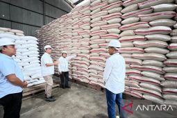 Stok beras awal Juni di Bulog Belitung capai 421 ton