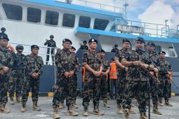 KKP tahan MV Silver Island angkut ikan Napoleon tanpa izin