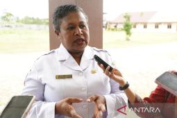 DP3AP2KB Mimika latih olah pangan lokal tingkatkan ekonomi keluarga