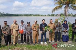 PNM tanam 29 ribu pohon dukung penghijauan nasional